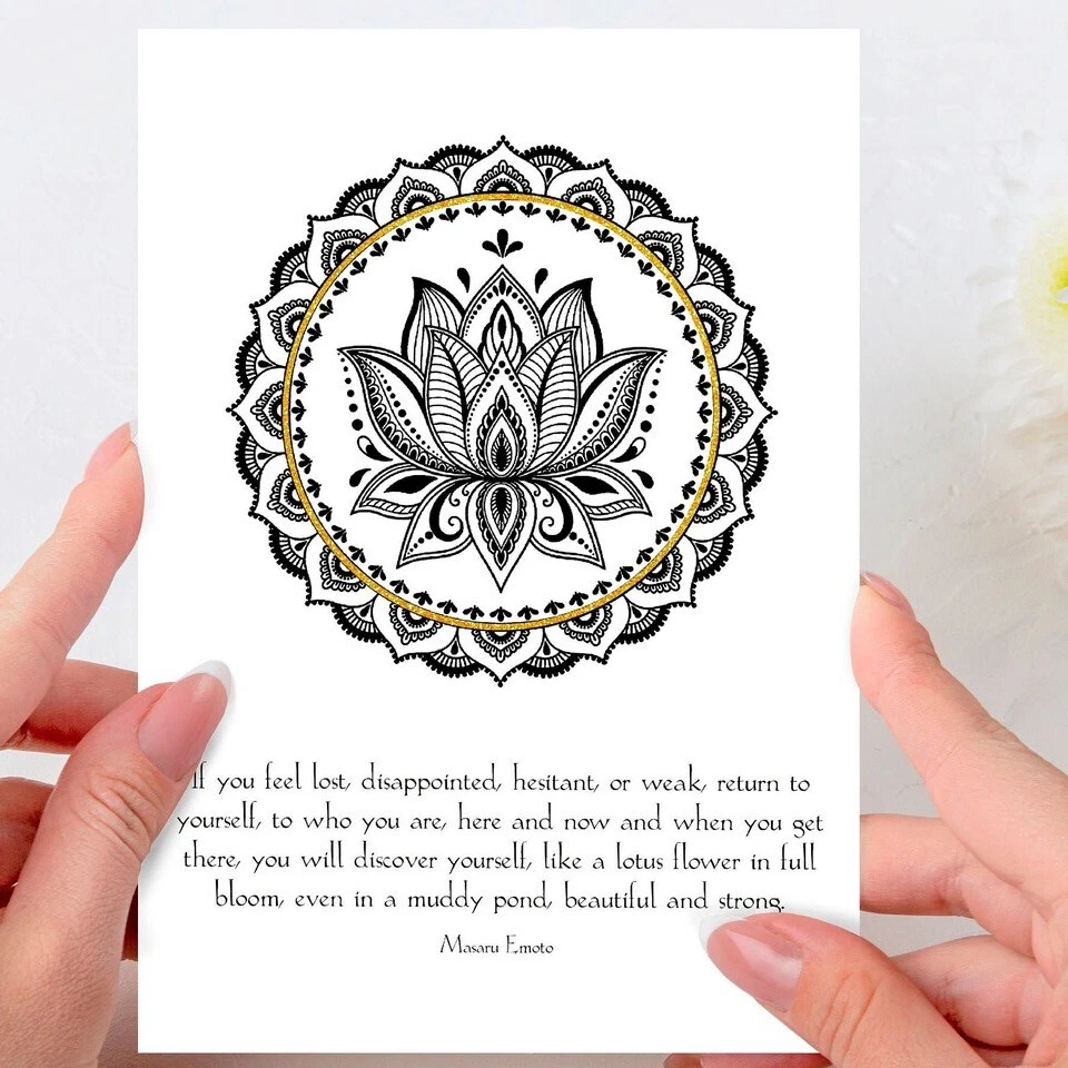 lotus-flower-logo-meaning-best-flower-site