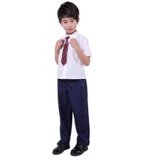 Children Suits Formal Wear Shirt Pants Tie Sets Wedding Party Groom Host Costume