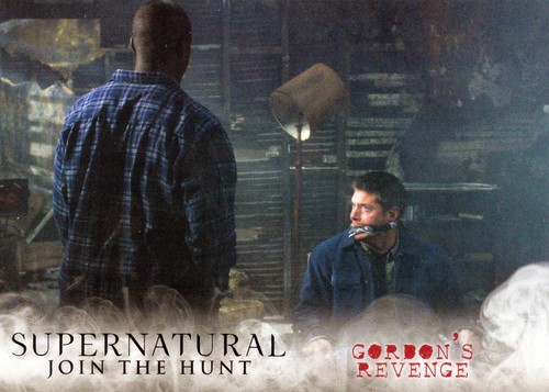 The Vampire Diaries / Supernatural & Twilight Individual Trading Cards/ Promos - Picture 139 of 169