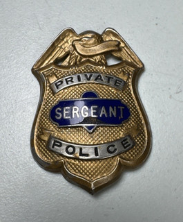 Vintage Gold Color & Blue Enamel Private Police Police Badge Dawson Co. MFG