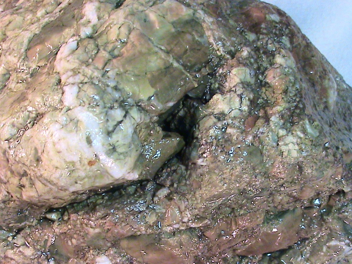 Picture 11 of 24