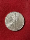 2004 1 oz American Silver Eagle Coin- UNCIRCULATED