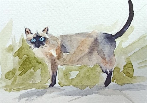 ACEO watercolor painting original Siamese cat home animal pet rural life #SIBY
