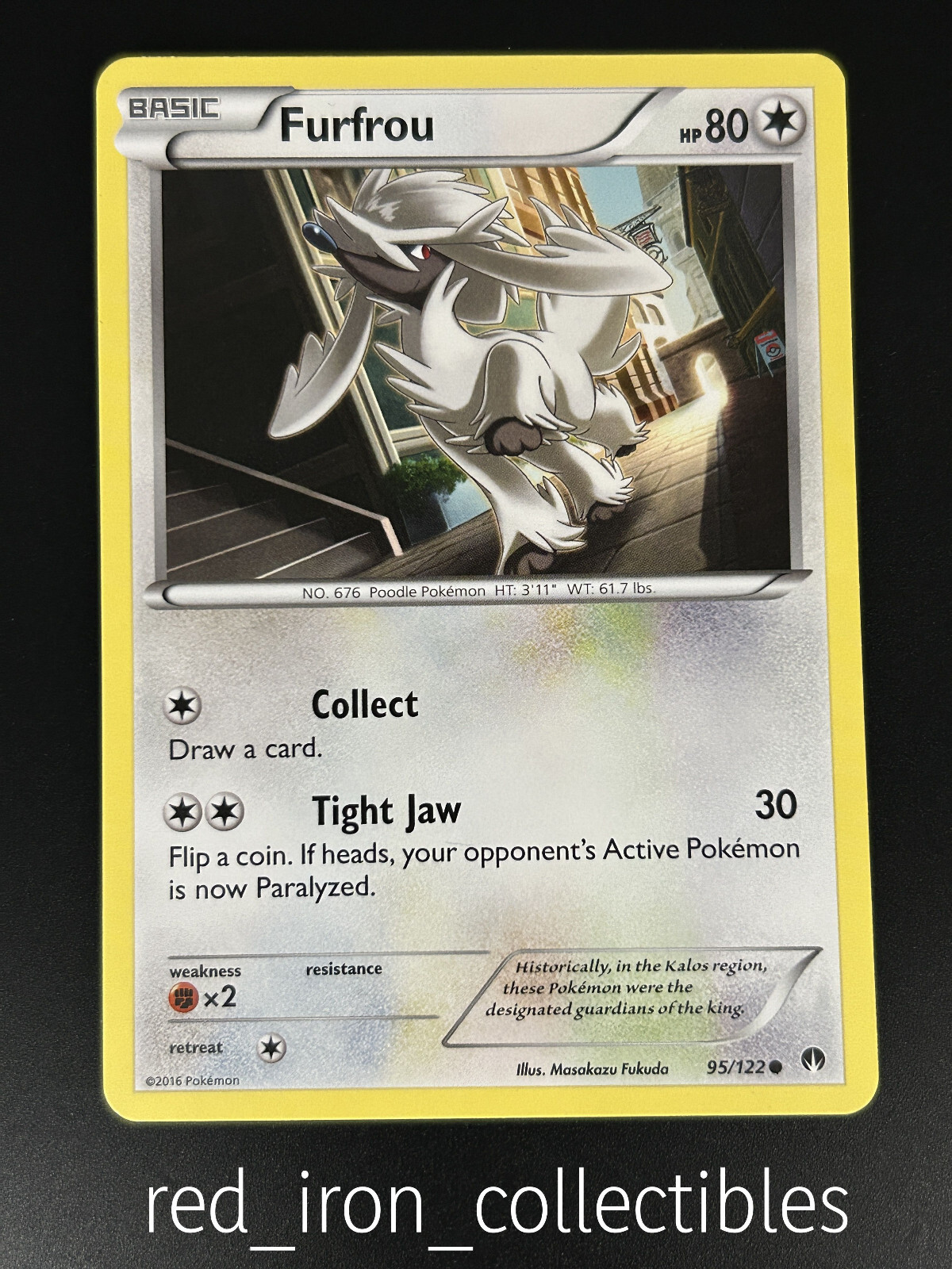 Furfrou 95/122 Common BREAKPoint XY Pokemon Card 2016