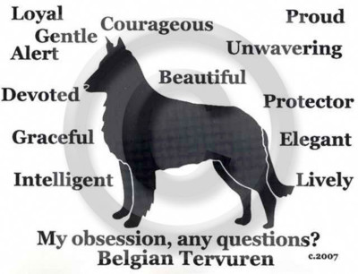 Belgian Tervuren Dog My Obsession, Any Questions? T-shirt Choices