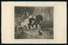 art Eneret hound puppy dogs and Frog original old 1900s postcard