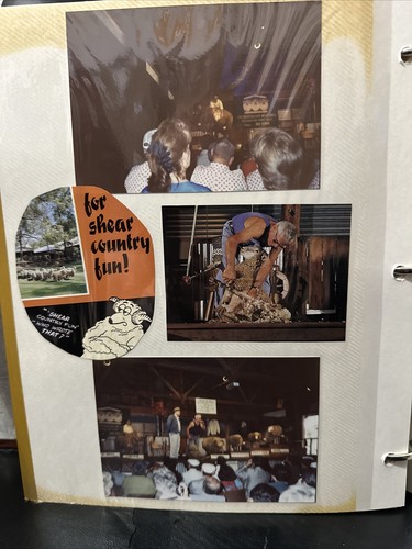 Album Fotografico Viaggio Scrapbook 1991 Australia Convenzione Leoni Immagini Cartoline + - Foto 17 di 20