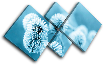 Dandelion Floral Ice Flower Plant Canvas Art Picture Print Decorative Photo Wall