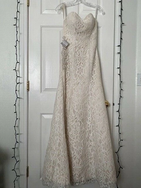 sinfonía de venus y belaire novia Foto 4 de 4