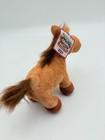 Bild 4 von 10