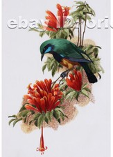 Chinese 100 real natural silk thread,su hand embroidery kits:bird flower 11"