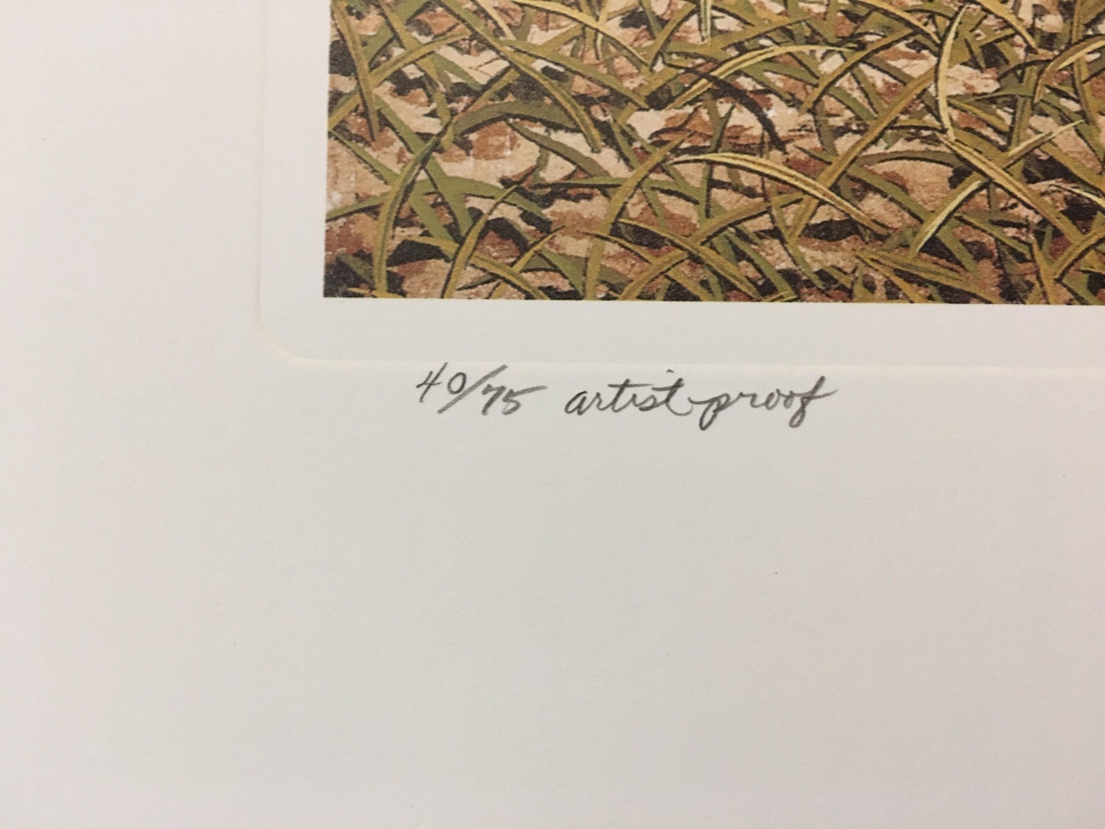 Bob Timberlake "Fenced Out" Artist Proof 40/75 - Picture 3 of 7