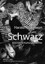 Bild 1 von 1