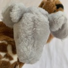 Bild 6 von 12
