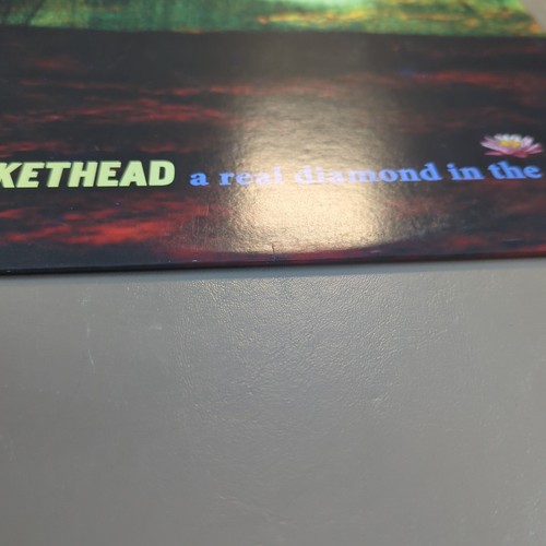 BUCKETHEAD ein echter Diamant im Rohzustand. Stan Diamond gewidmet. SELTENES VINYL. - Bild 8 von 20