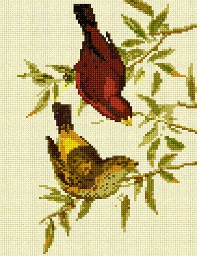 Scarlet Finch Needlepoint Kit or Canvas - Picture 2 of 3