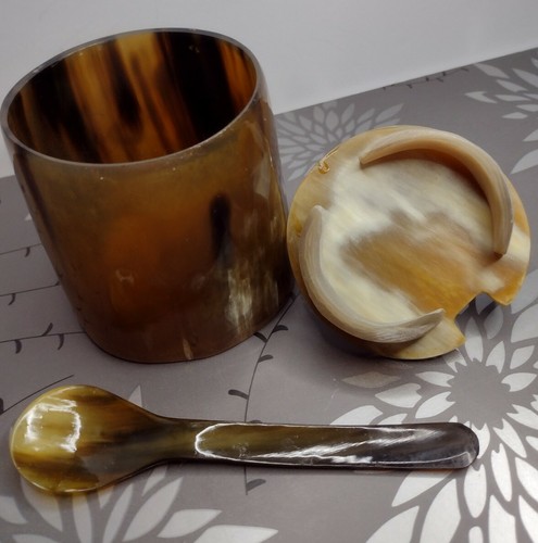 Bull horn cow steer longhorn Dishware Sugar salt Spoon Lid Bone Art Container - Bild 4 von 6