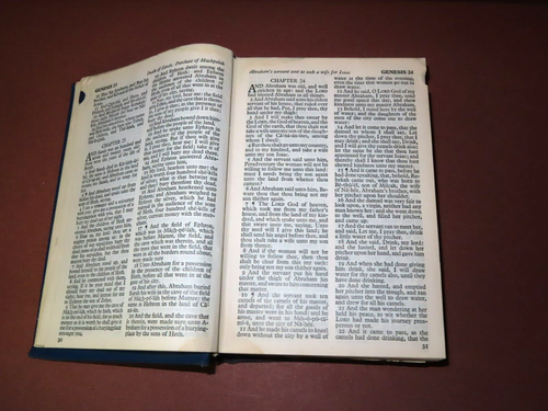 The Oxford Self Pronouncing Holy Bible Vintage Book, Christian - Foto 9 di 11