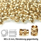Bild 10 von 44