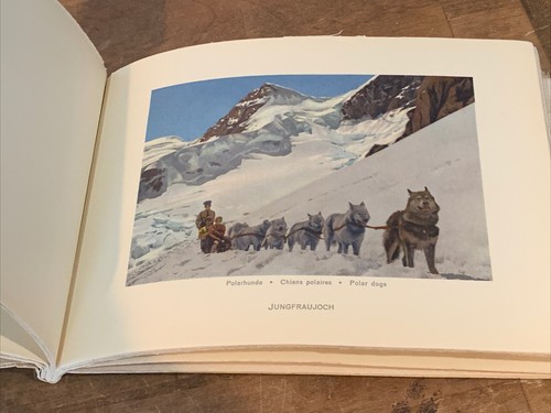 Jungfraubahn JUNGFRAU RAILWAY Germany Souvenir Photograph Book Made In Switz - Picture 5 of 8