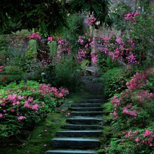 10x10ft Retro Garden Flowers Stairs Path Photo Background Vinyl Studio Backdrop