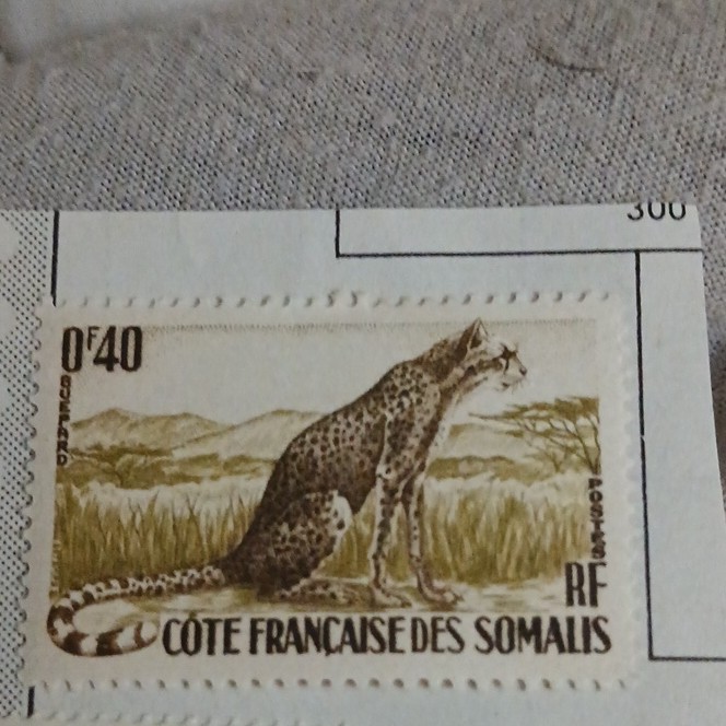 Somalia Cheetah Wildlife Stamp 0.40 Brown Beige Single Uncertified Collectible