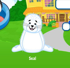 Webkinz Seal Virtual Adoption Code Only Messaged Webkinz Seal Original Pet Code