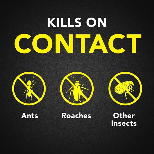 Raid® Ant & Roach Killer 26, Fragrance-free Bug Spray, 17.5 Fl. Oz. 2 Count. New - Picture 2 of 12