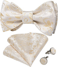 Men Bow Tie Paisley Striped Self-Bow Tie for Men and Silk Woven Bowtie Pocket Sq