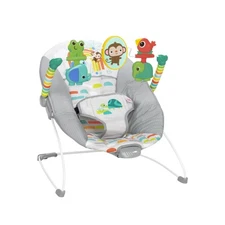 Bright Starts Playful Paradise Vibrating Baby Bouncer, Unisex, Newborn +