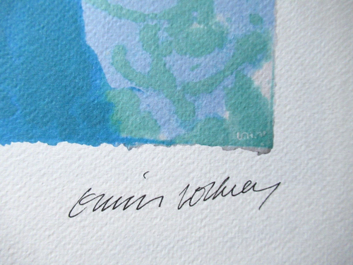 DAVID HOCKNEY: Schöne Lithographie "POOL BECKEN" 50x35cm Limitiert xx/200 - Bild 4 von 6