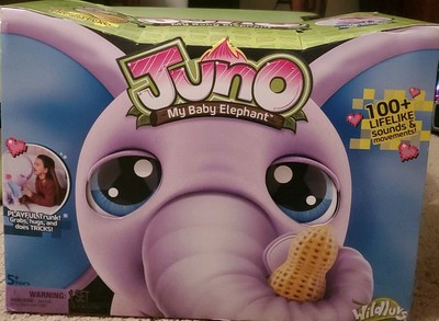 juno my baby elephant with interactive moving trunk