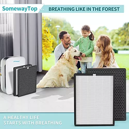 Alexapure 2024 air purifier