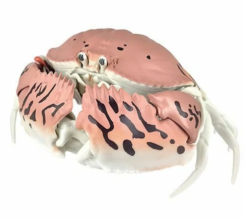 Bandai Gashapon Crab Action Figure Shame-faced Crab 12 cm import Japan
