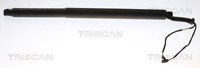 Heckklappen DäMpfer Gasfeder Kofferraum Triscan 8710 29312 FüR Skoda Superb 2