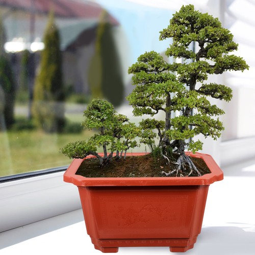 10 Pcs Thickened Fruit Tree Flower Pot Office Extra Large Plastic Bonsai Pots - Picture 12 of 12