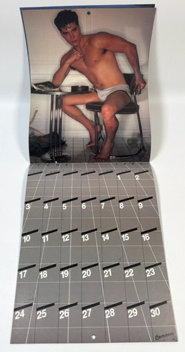 RARE MINT Vintage 1984 Chippendales Calendar w/ Dan Peterson Cover No Writing - Bild 3 von 6
