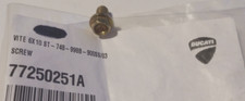 Ducati ST3, ST4, Monster Screw NOS 77250251A (L-7881)