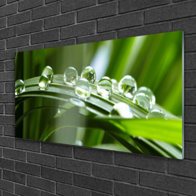 Tableau Moderne Sur Verre Acrylique Tulup - Impression Herbe Nature - 120x60 Cm - Vert