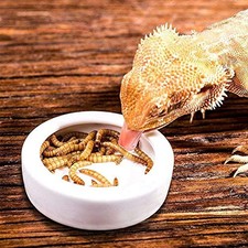 River 4 Pack Worm Dish Reptile Food Bowl, Ceramics Made, Lizard, Gecko 2.7inch