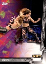 2018 Topps WWE Women's Division #32 Mickie James