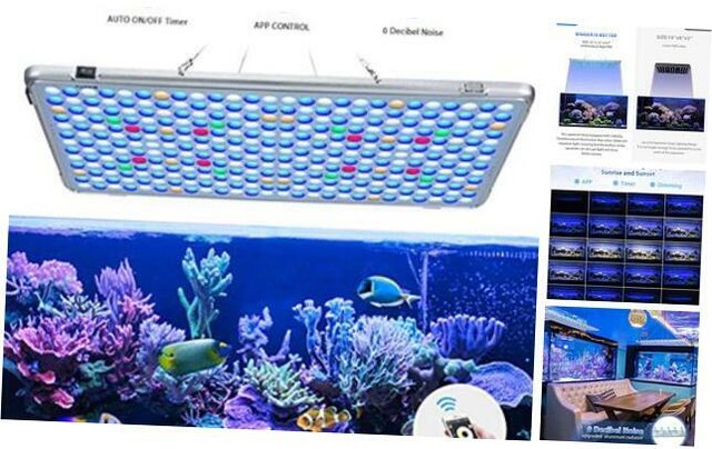 Bozily Aquarium Lights LED 300W, Full Spectrum Coral Reef ...