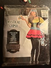 Spirit Gypsy Fortune Teller Girls Costume Size Junior Medium
