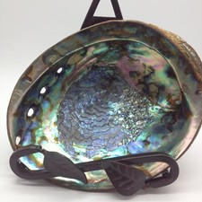 Beautiful  Large Natural Iridescent Abalone Mother Of Pearl Shell 6.5" x 5"