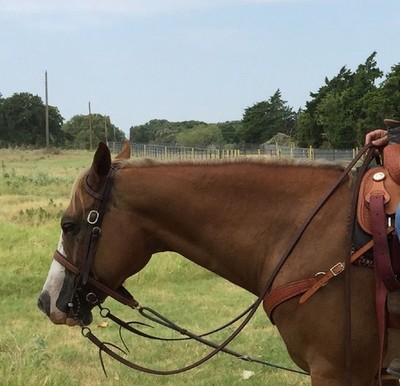Working Cowboy Split Reins Heavy Oil Dipped 5/8'' x 8' Weighted Ends