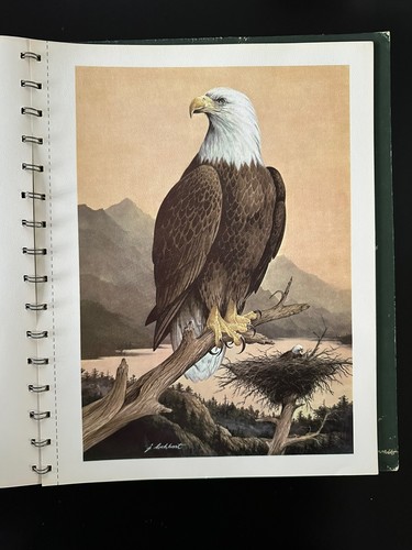 Portraits Of Nature 1973 By James Lockhart 8 Removable Animal Prints - Picture 6 of 11