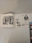 Picture 5 of 19