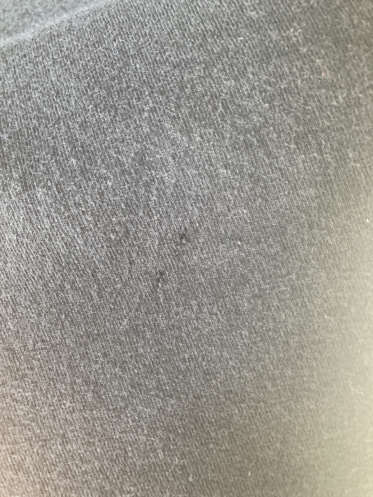 Picture 4 of 4