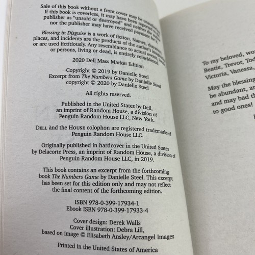 Posten 2 Danielle Steel Romane Taschenbuch verschiedene Liebesromane Konvolut - Bild 7 von 7