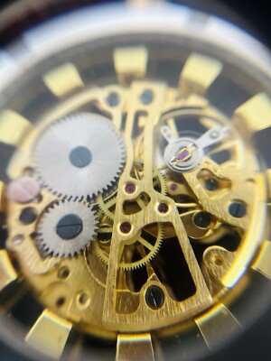 GOER Skeleton Dial Automatic Men's Watch 40mm Case Mechanical